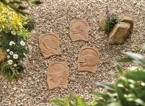 RHS Endangered Wildlife Stepping Stone Collection